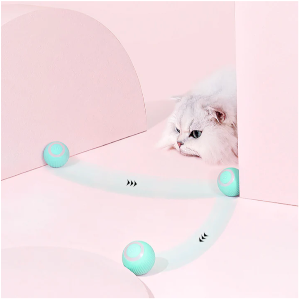 MeowMotion™️ - Katzenspielzeug